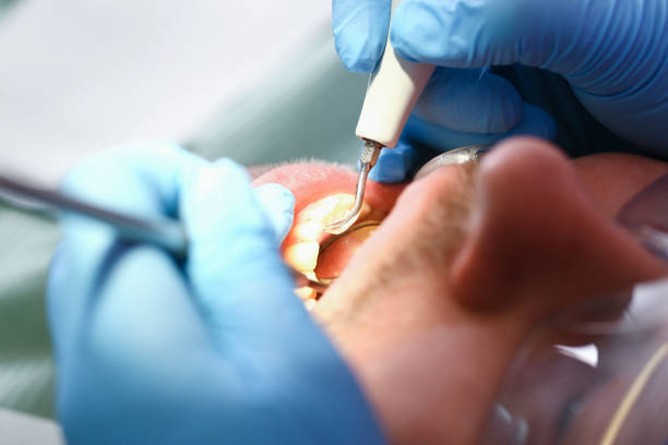Best Pediatric Emergency Dentist in Luna Pier, MI